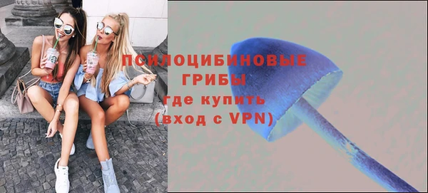 шишки Баксан