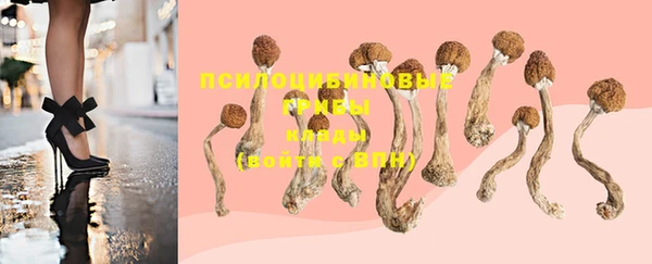 крисы Сясьстрой
