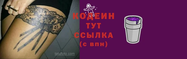 шишки Баксан