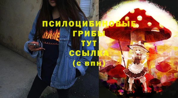 apvp Балахна