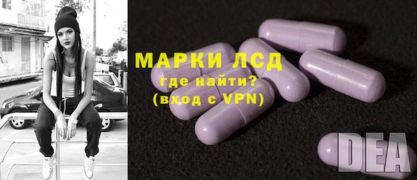 шишки Баксан
