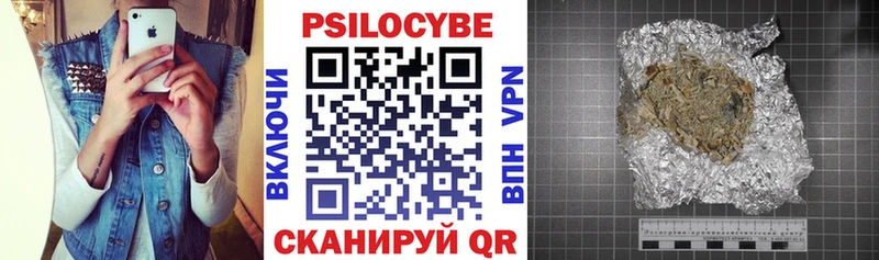 hydra как войти  Буй  Псилоцибиновые грибы ЛСД 